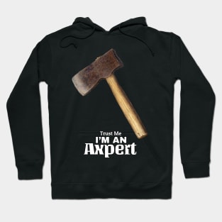 Trust me I'm an Axpert Hoodie